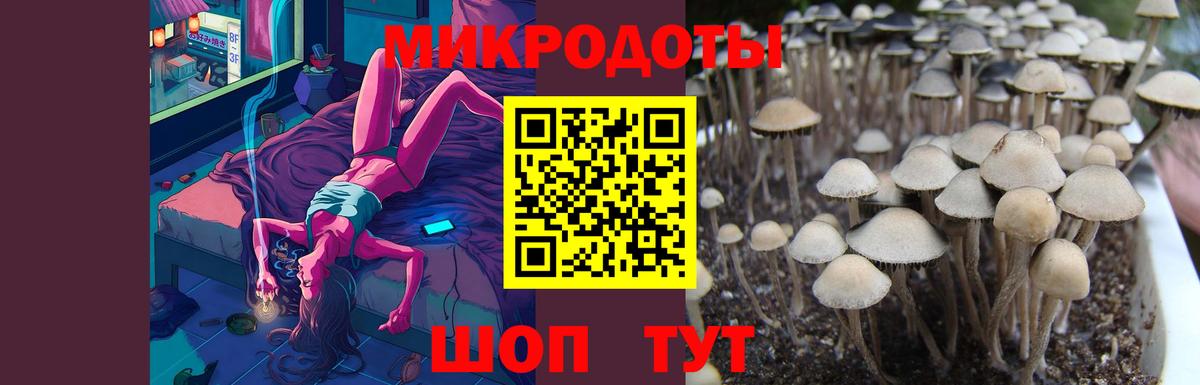 Чапаевск  Псилоцибиновые грибы Cubensis  Галлюциногенные грибы мухоморы  Вход с VPN 
