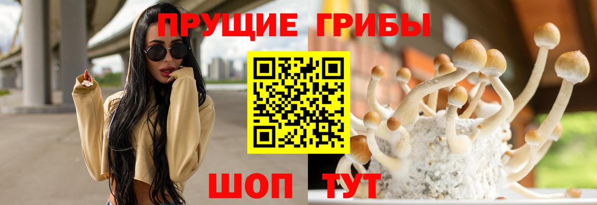 Галлюциногенные грибы MAGIC MUSHROOMS Чапаевск